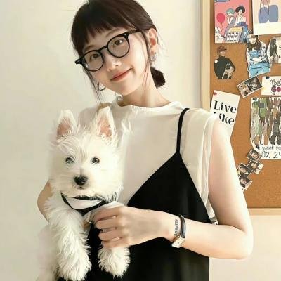 糟糕历史第三季
